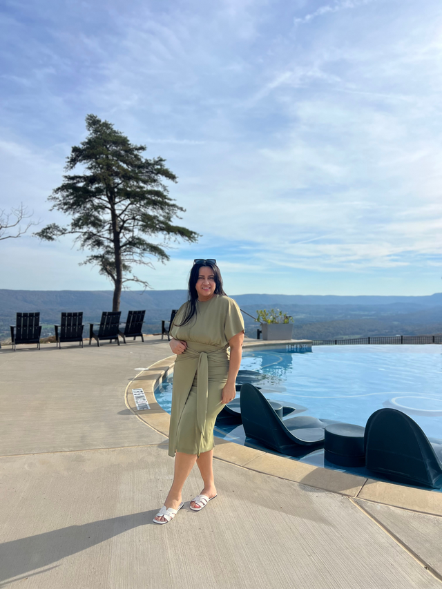 Alejandra Swim Dress – Olive