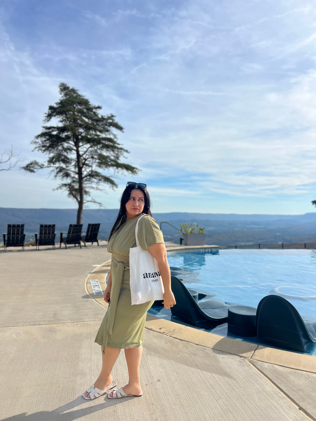 Alejandra Swim Dress – Olive