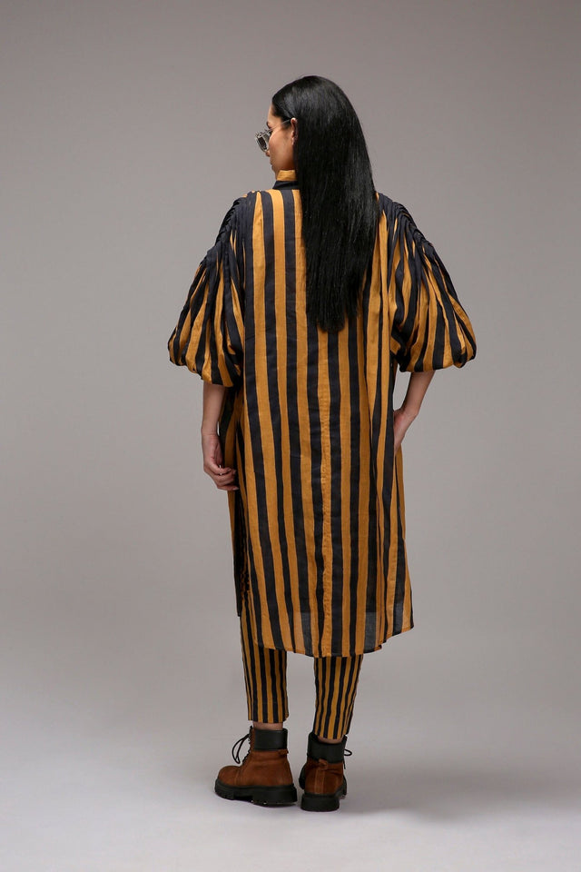 Tan-Brown Blue Striped SE Pant - Trousers - Mizyana