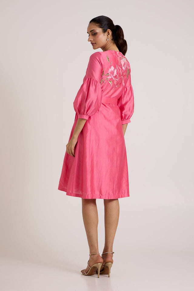 Jay pink Delphi midi dress looking over the shoulder, back view with floral embroidery