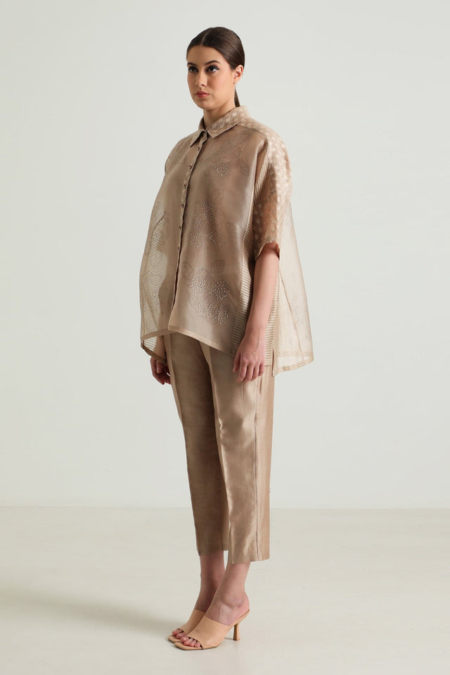 Beige Organza Lace Shirt and Straight Pant in Silk Chanderi - Two-Piece Set - Mizyana