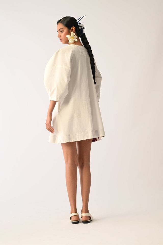 Botanica IVORY Bubble Aline Appliqu√© Dress - Dress - Mizyana