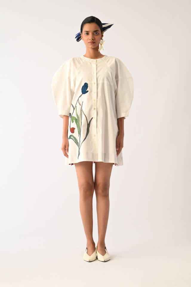 Botanica IVORY Bubble Aline Appliqu√© Dress - Dress - Mizyana