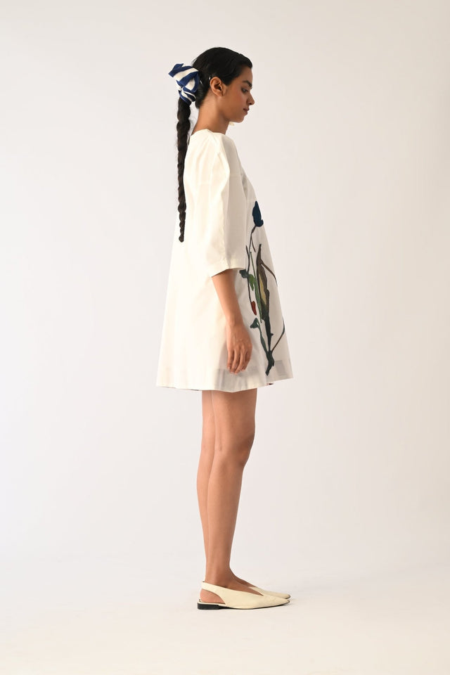 Botanica IVORY Bubble Aline Appliqu√© Dress - Dress - Mizyana