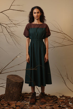 CB Green & Brown Sphara Dress - Dress - Mizyana