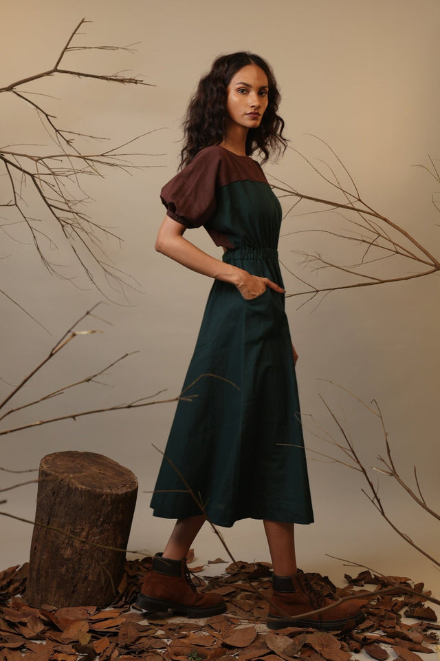 CB Green & Brown Sphara Dress - Dress - Mizyana