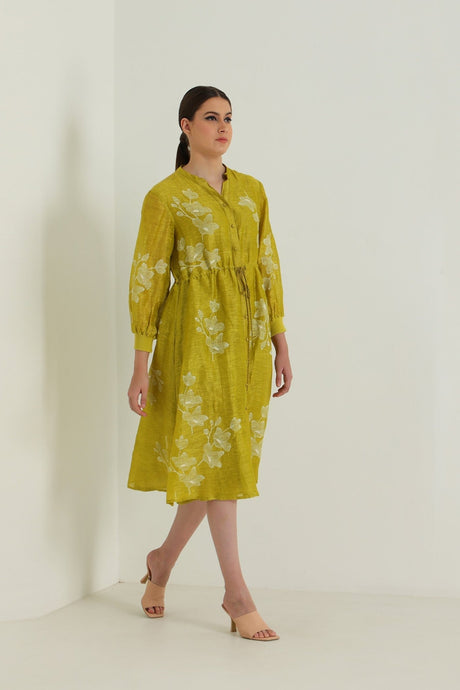 Chartruese Dress with Carnation Print In Silk Chanderi - Dress - Mizyana