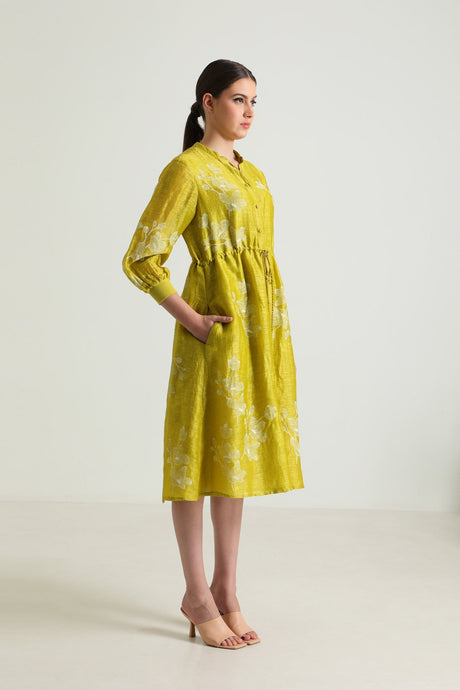 Chartruese Dress with Carnation Print In Silk Chanderi - Dress - Mizyana
