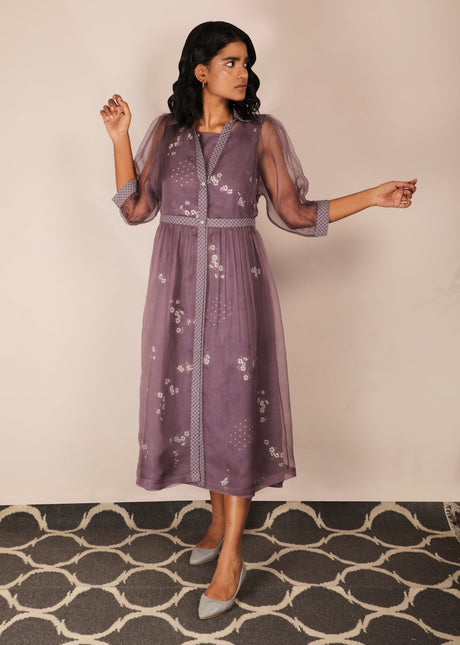 Cherry Blossom Double Layer Dress by ARCVSH by Pallavi Singh in mauve with sheer organza overlay, front view